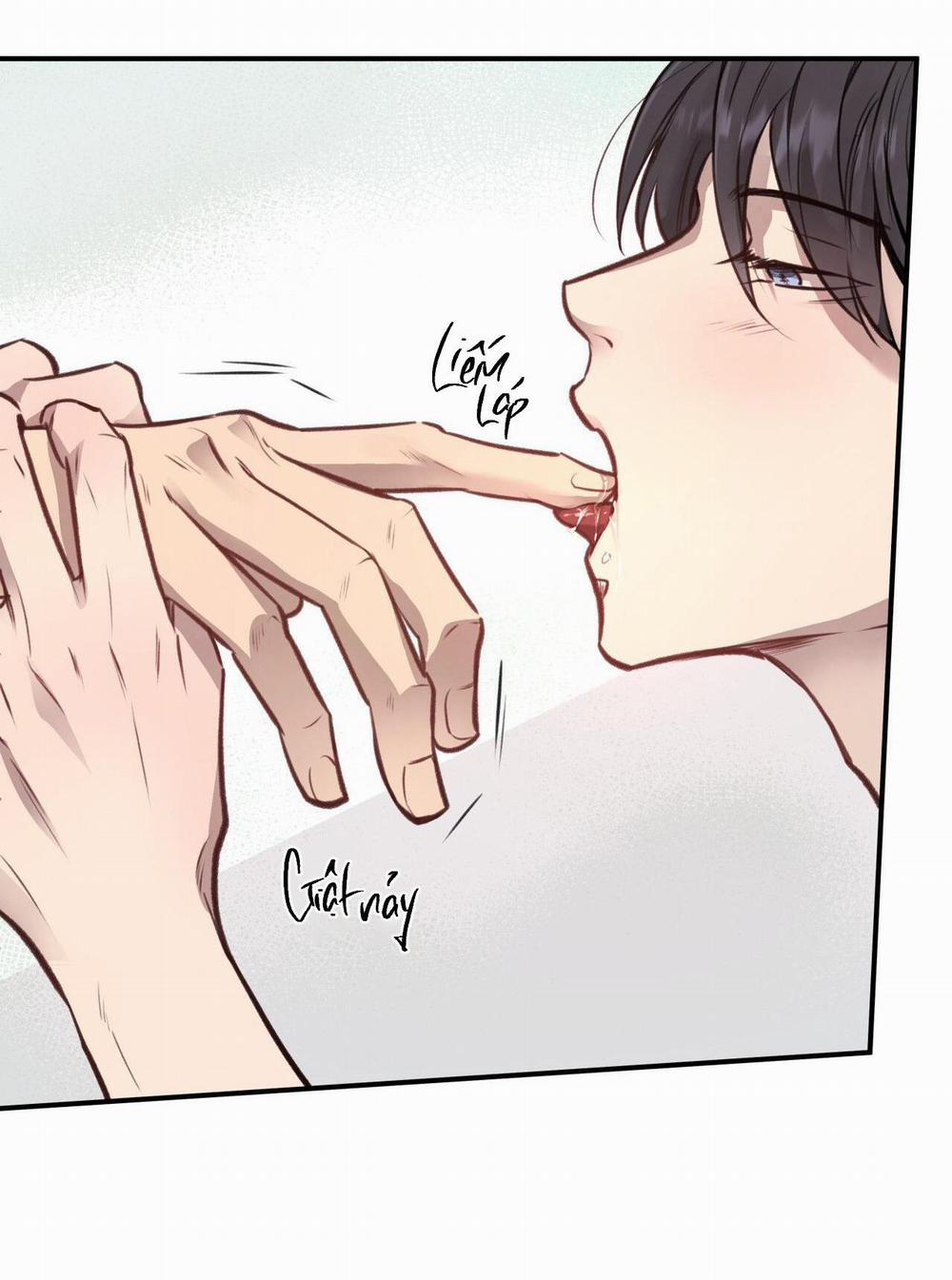 Honey Bear 12 trang 52