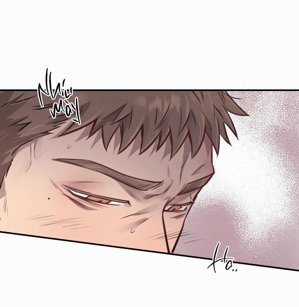 Honey Bear 12 trang 54