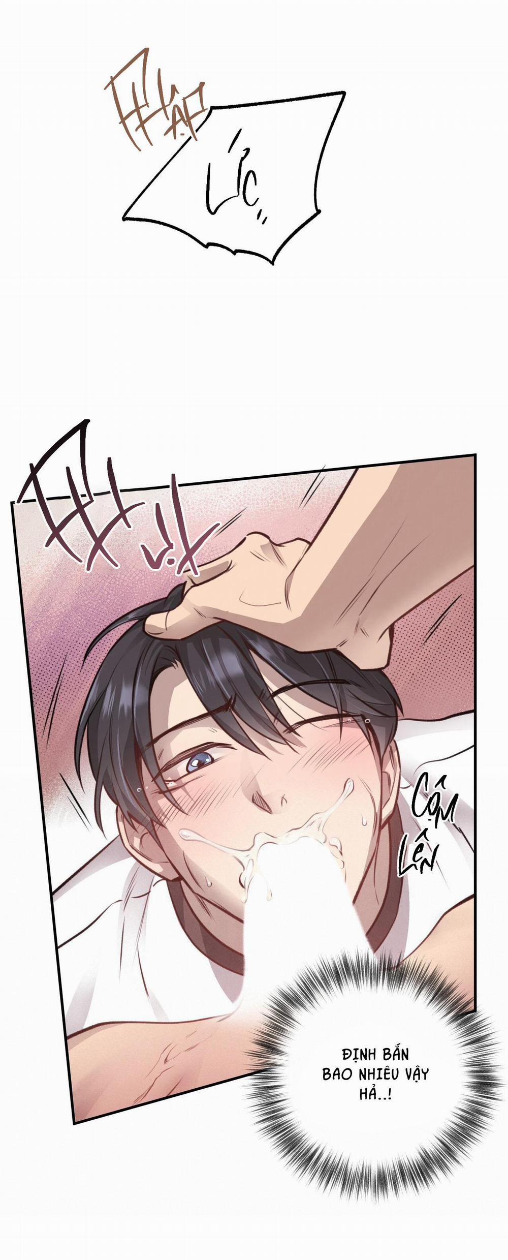 Honey Bear 12 trang 57