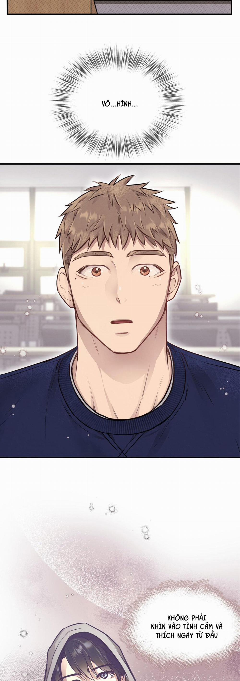 Honey Bear 13 trang 19