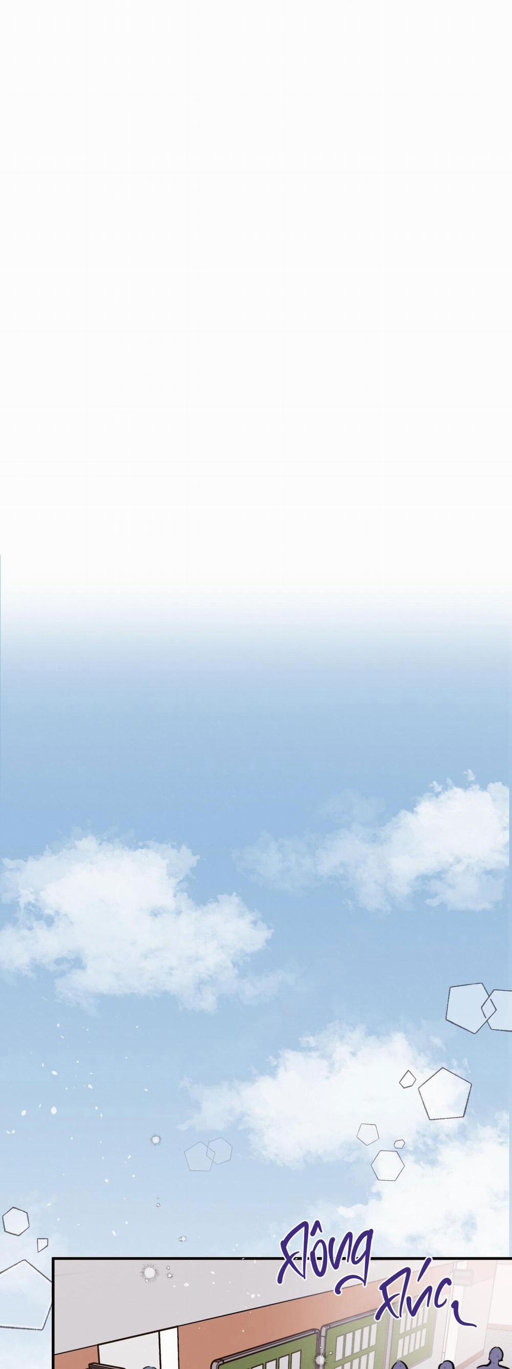 Honey Bear 13 trang 24