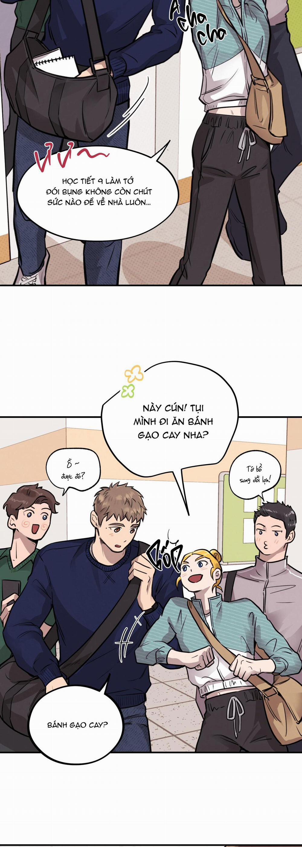 Honey Bear 13 trang 26