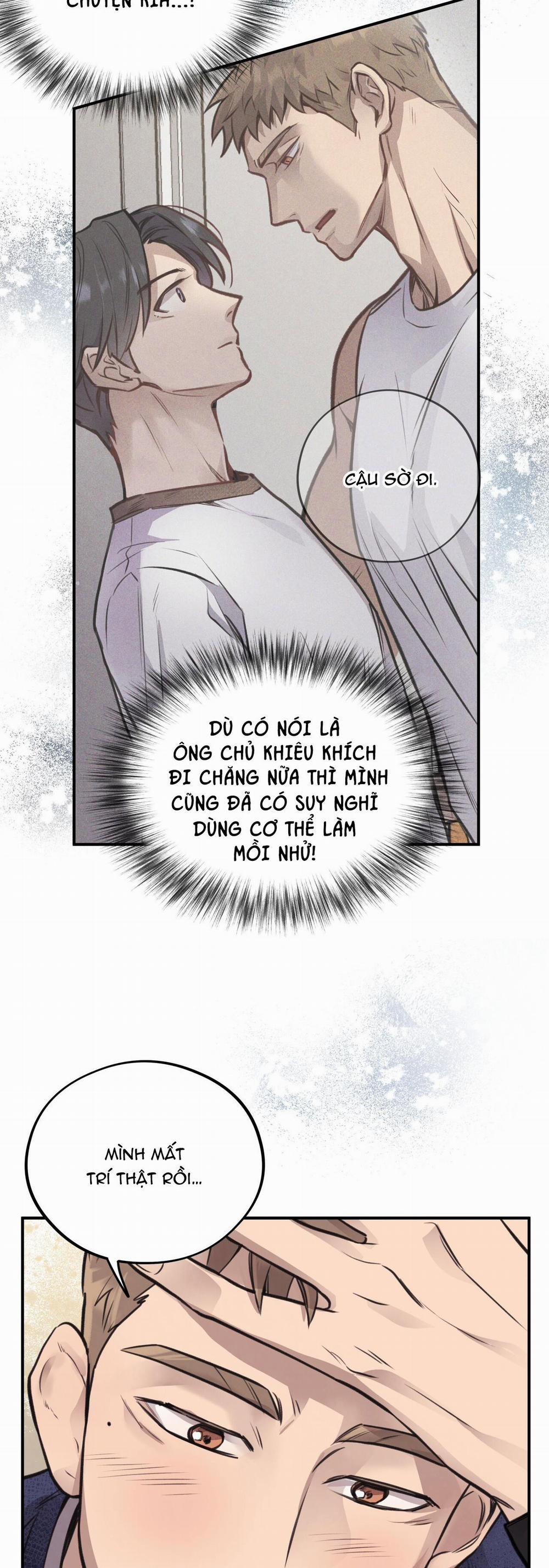 Honey Bear 13 trang 3