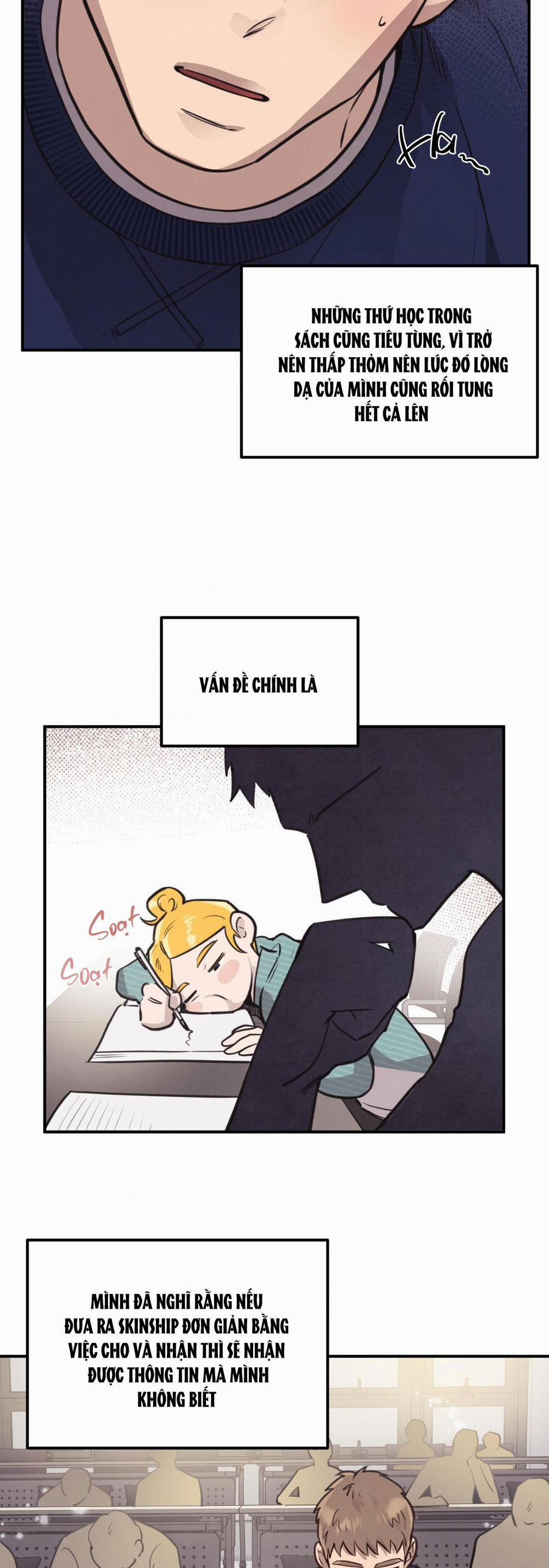 Honey Bear 13 trang 4