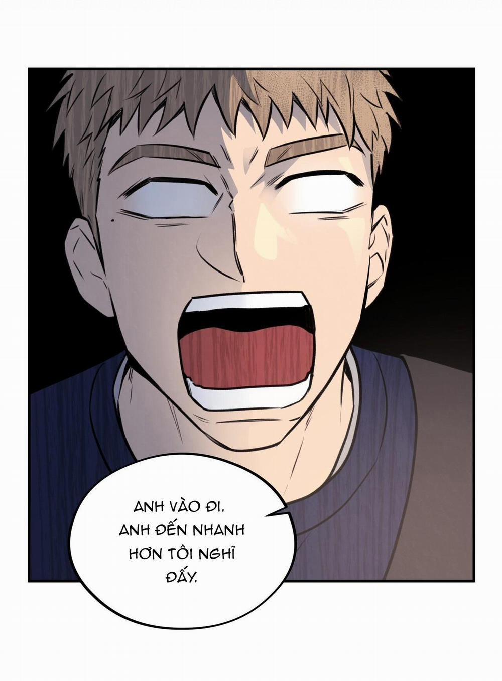 Honey Bear 14 trang 13