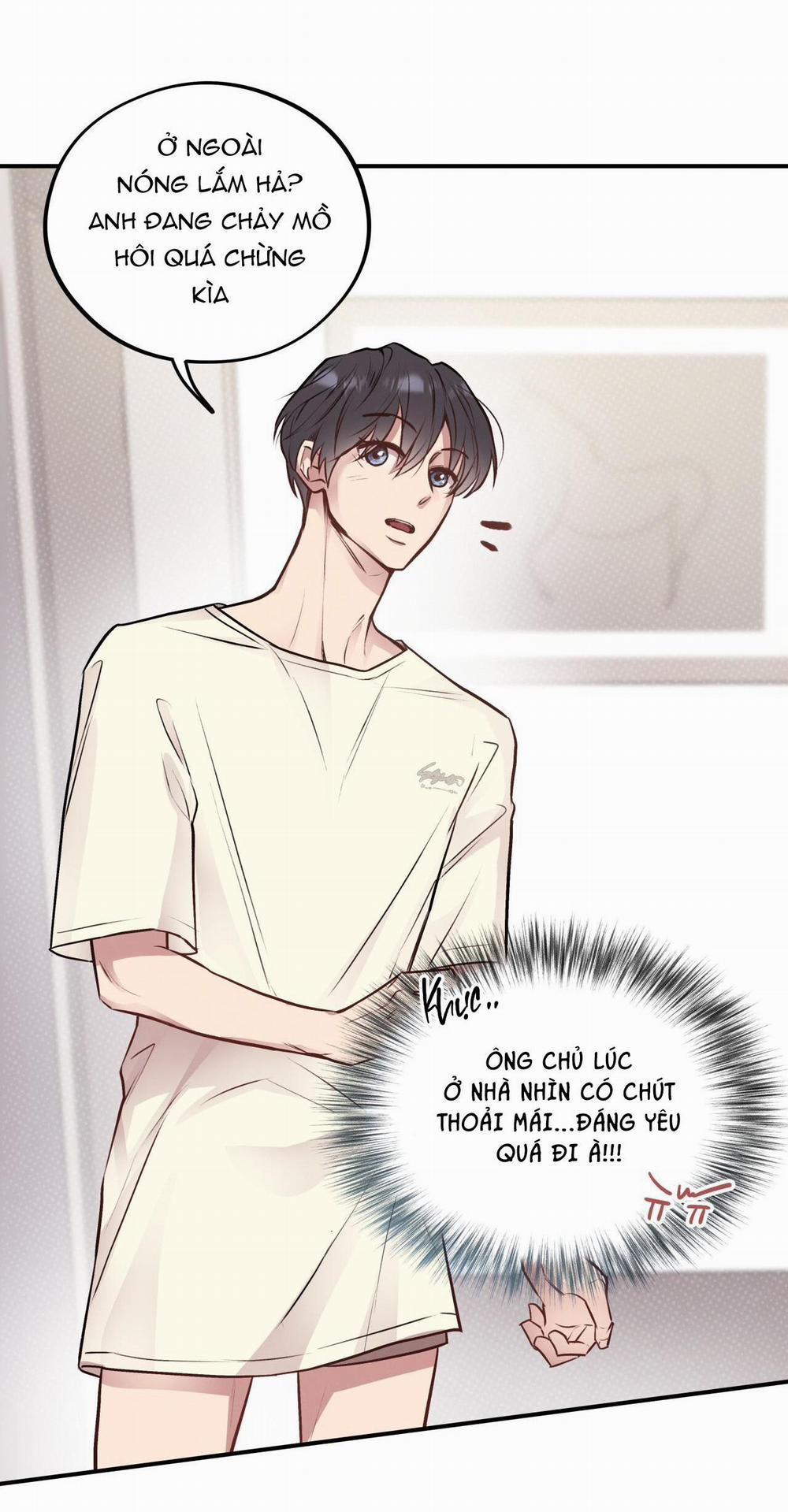 Honey Bear 14 trang 16