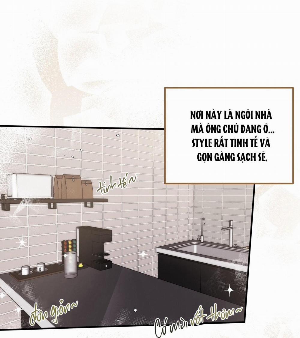 Honey Bear 14 trang 29