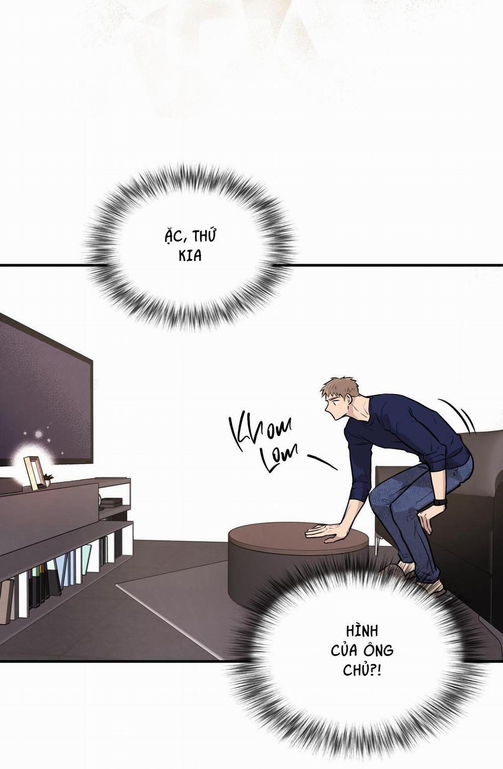 Honey Bear 14 trang 32