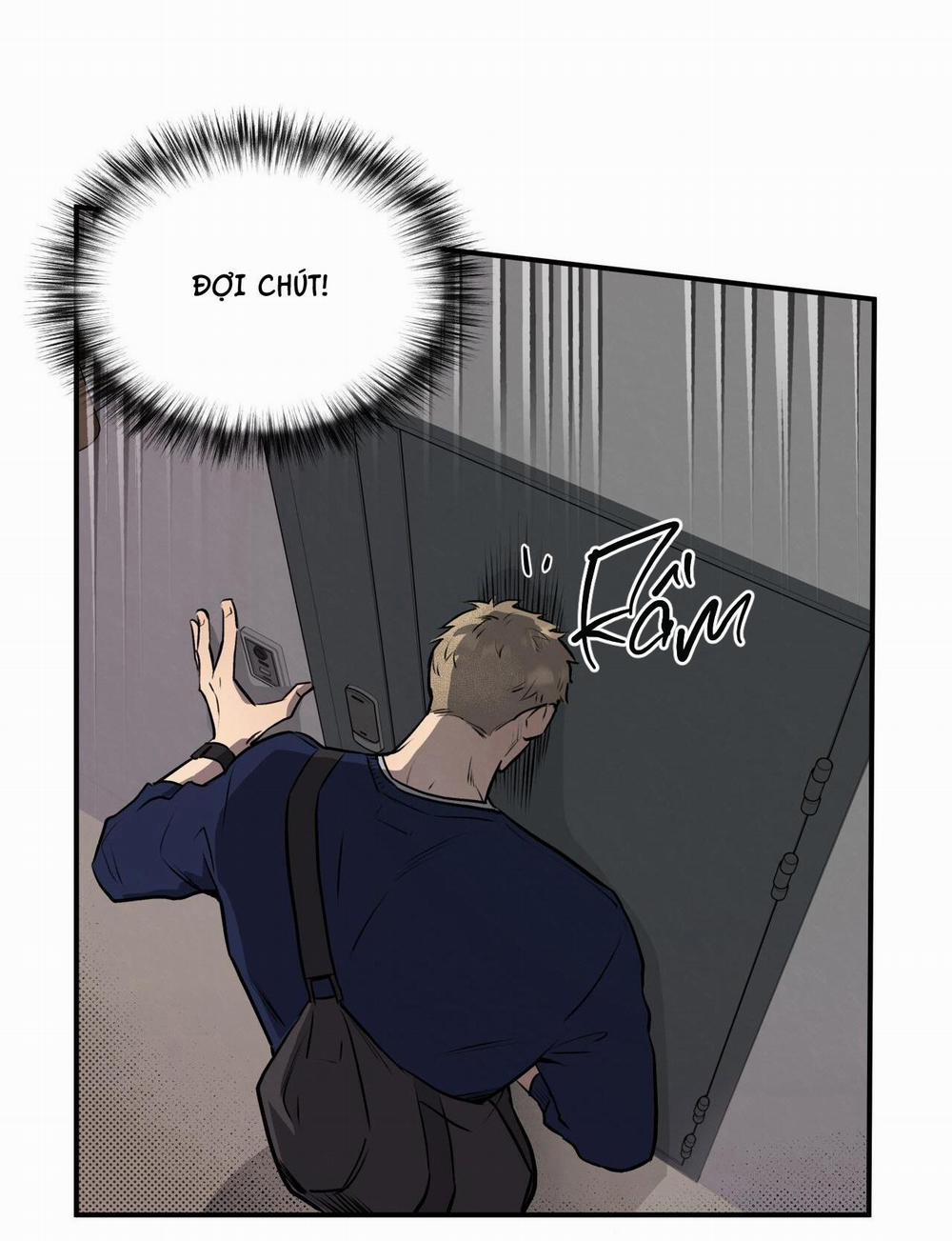 Honey Bear 14 trang 8