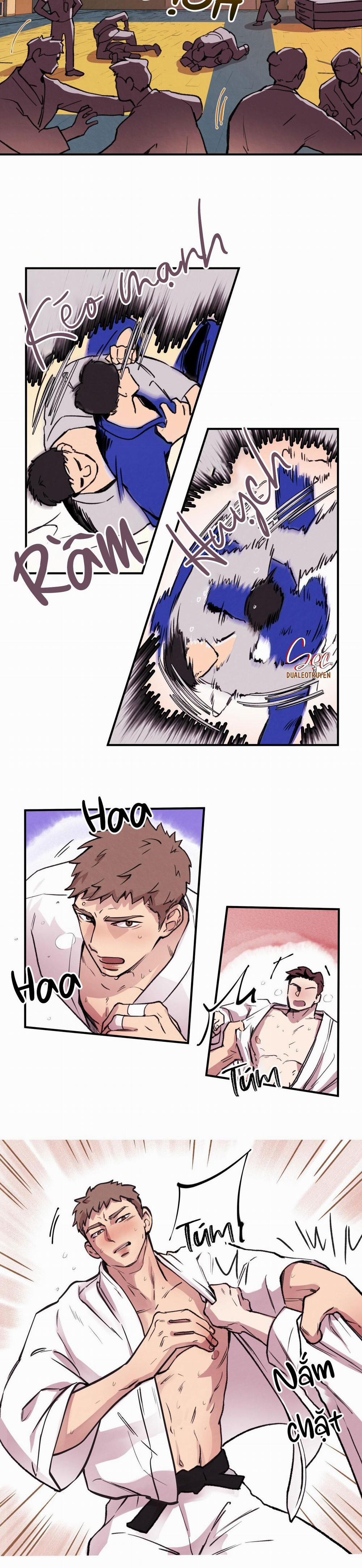 Honey Bear 2 trang 1