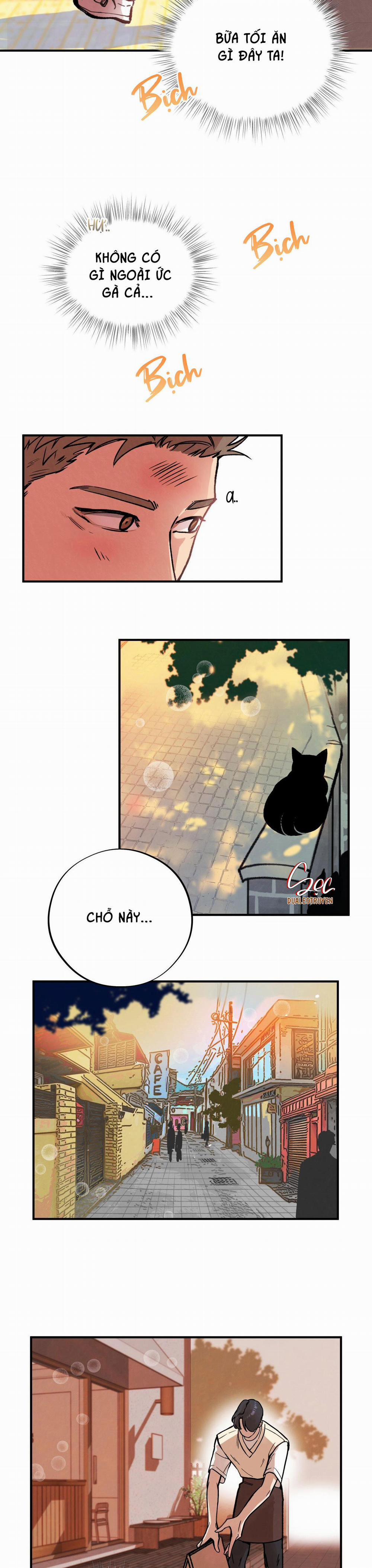 Honey Bear 2 trang 13