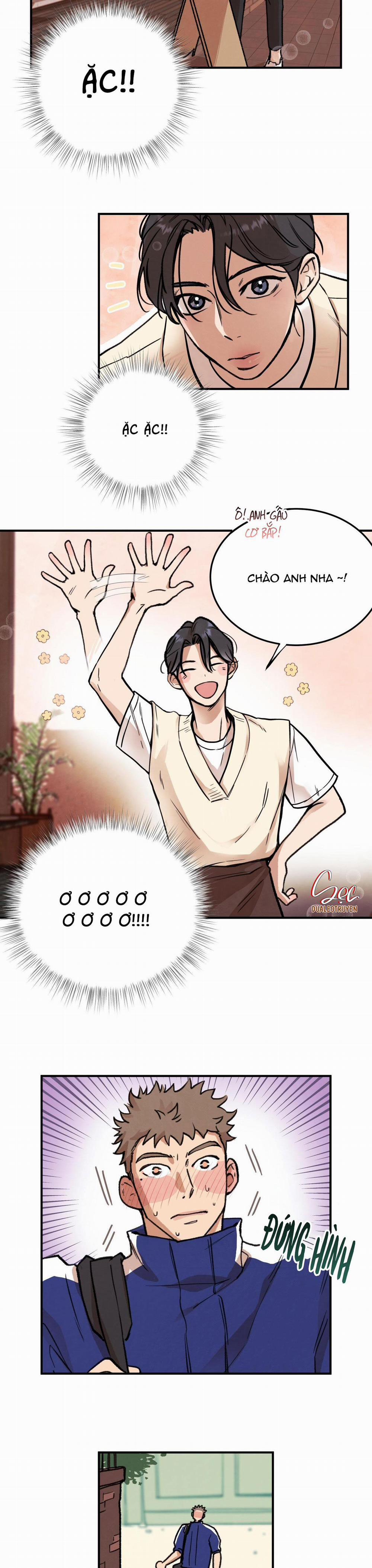 Honey Bear 2 trang 14