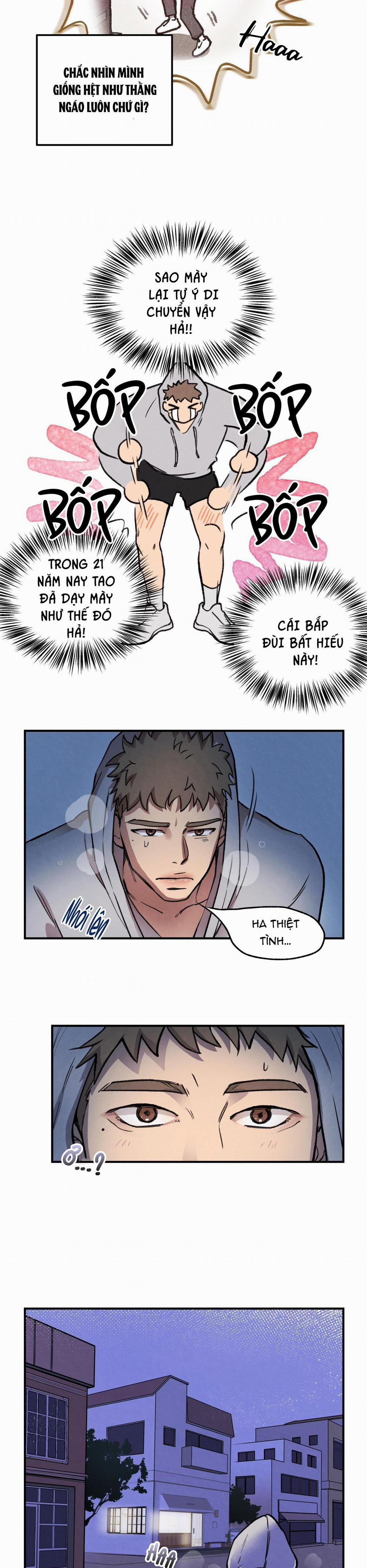 Honey Bear 2 trang 18