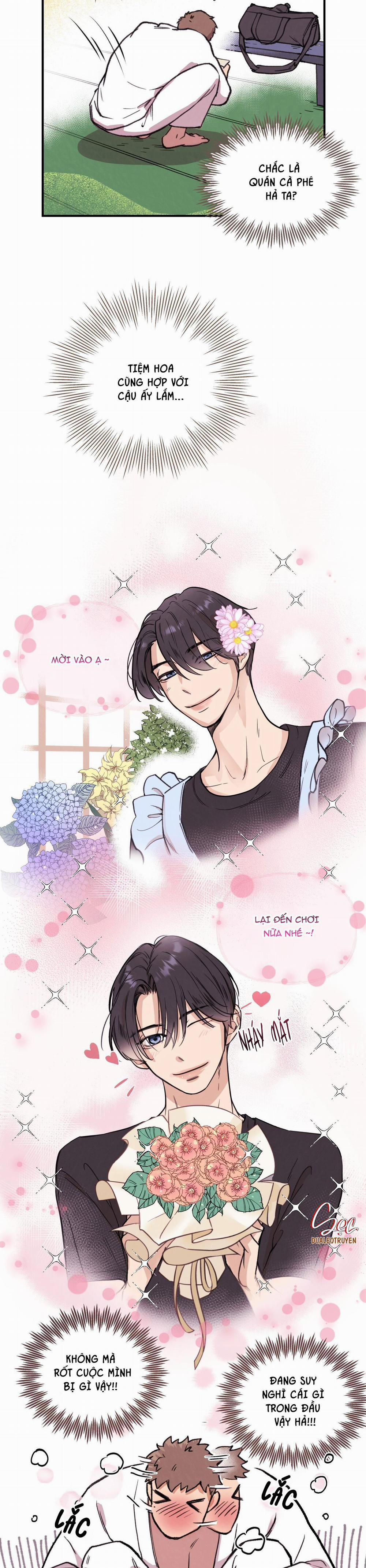 Honey Bear 2 trang 5