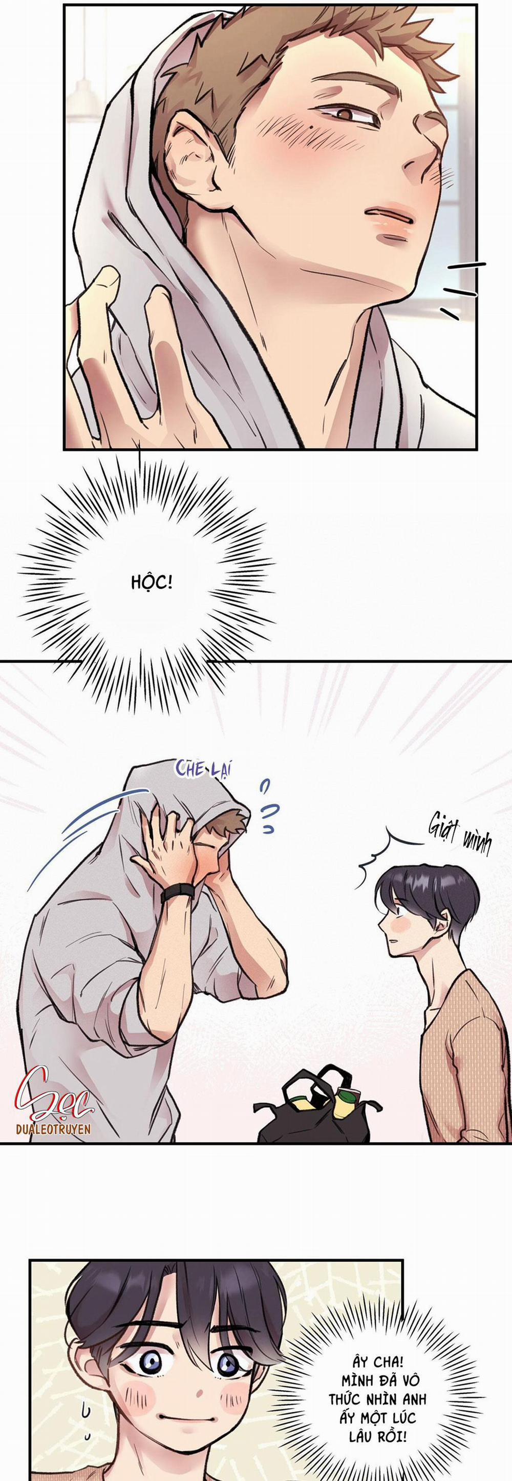 Honey Bear 3 trang 10