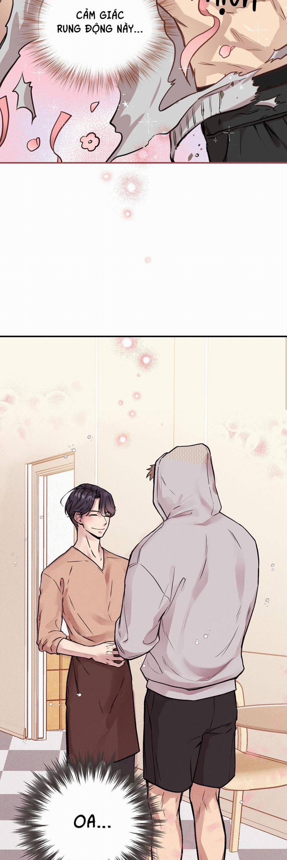 Honey Bear 3 trang 23