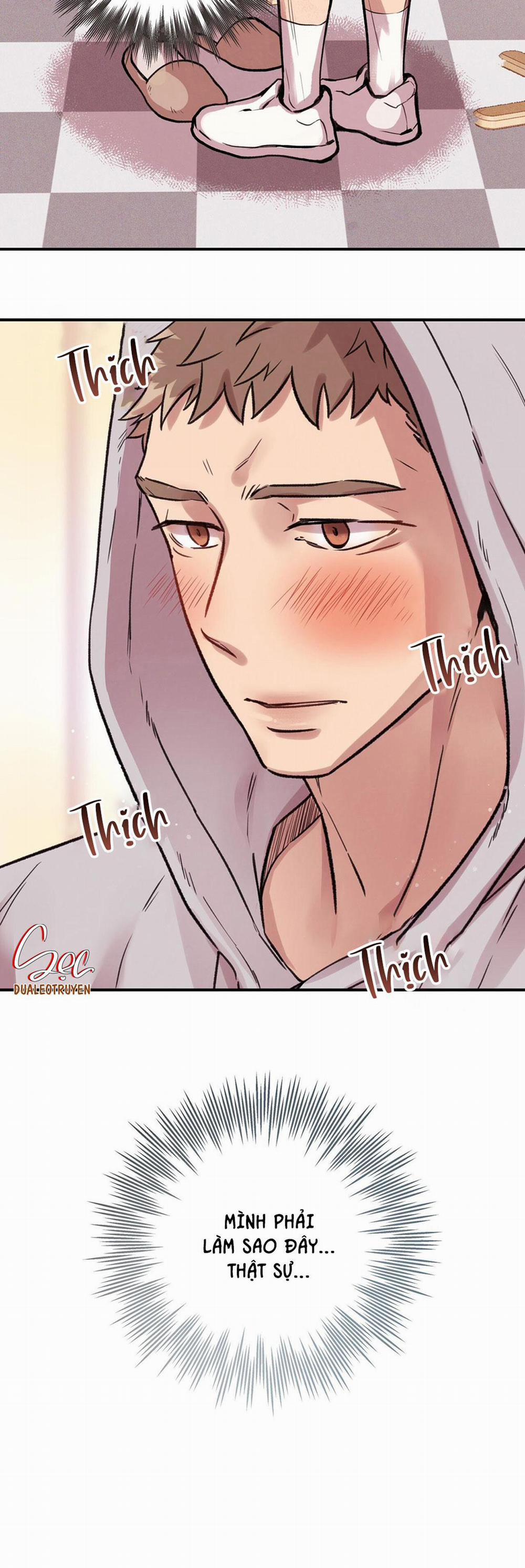 Honey Bear 3 trang 24