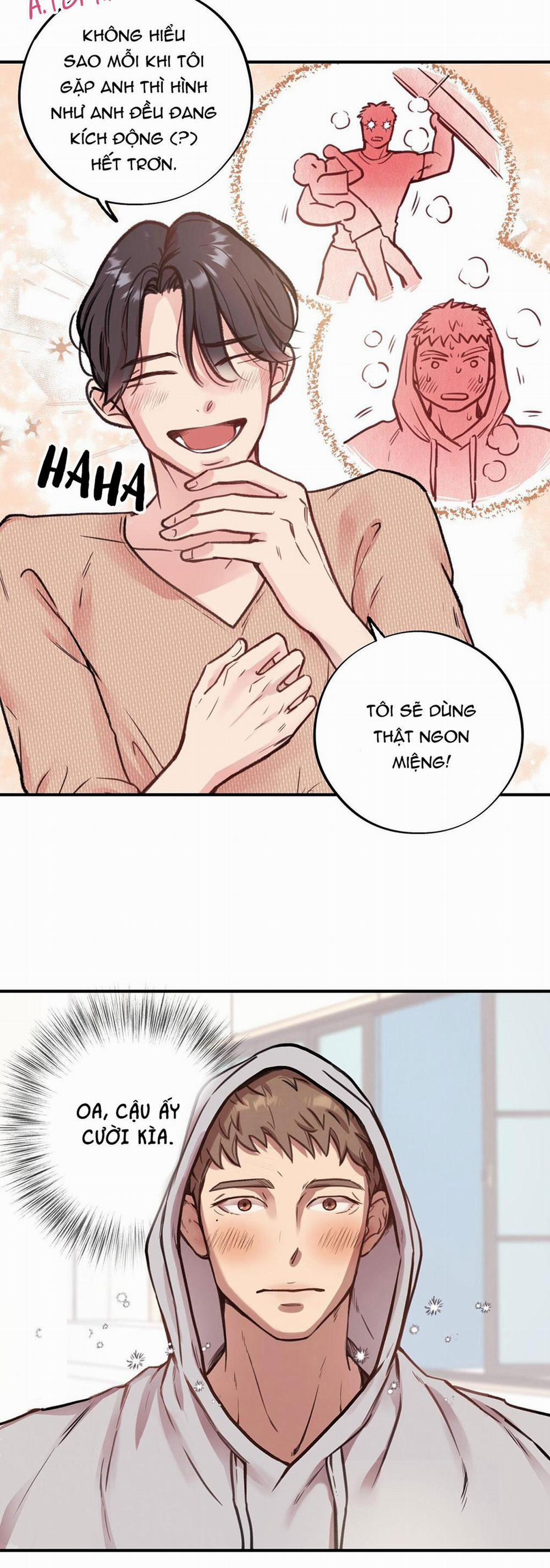 Honey Bear 3 trang 8