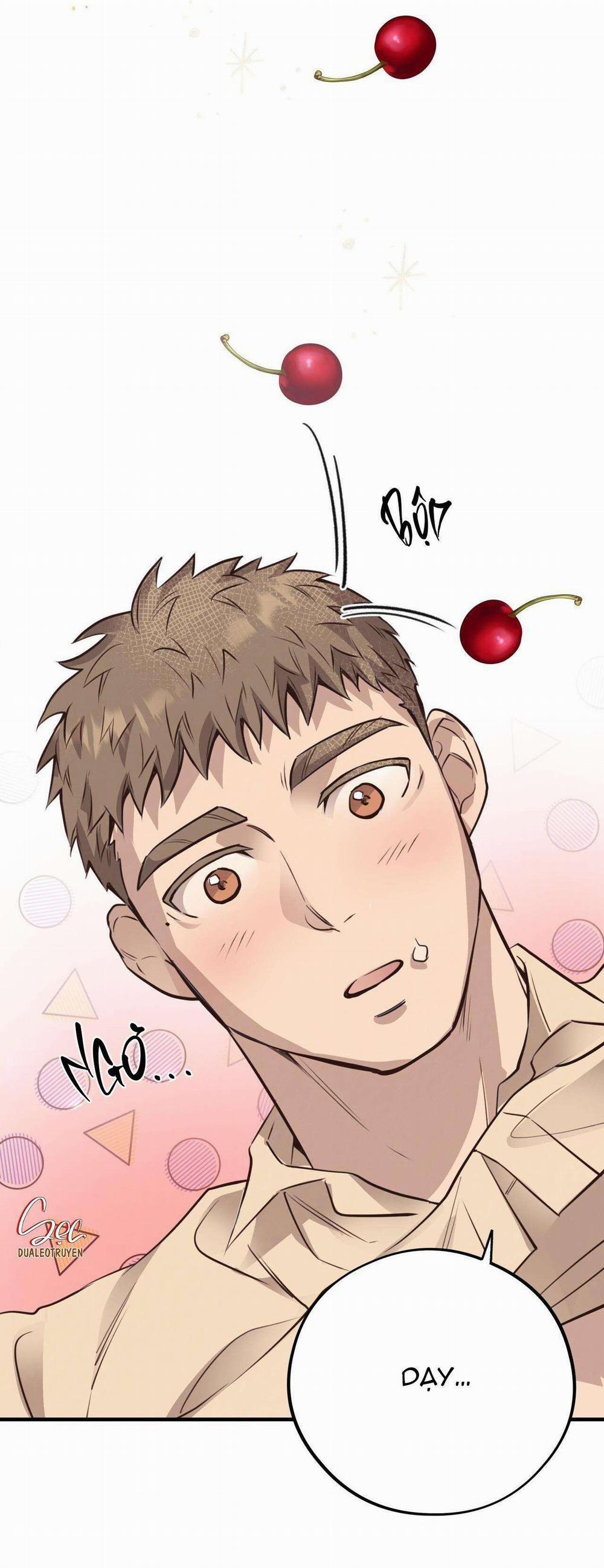 Honey Bear 33 trang 53