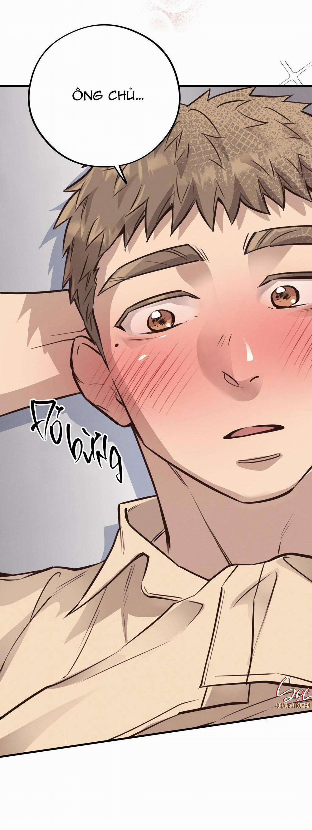 Honey Bear 33 trang 65