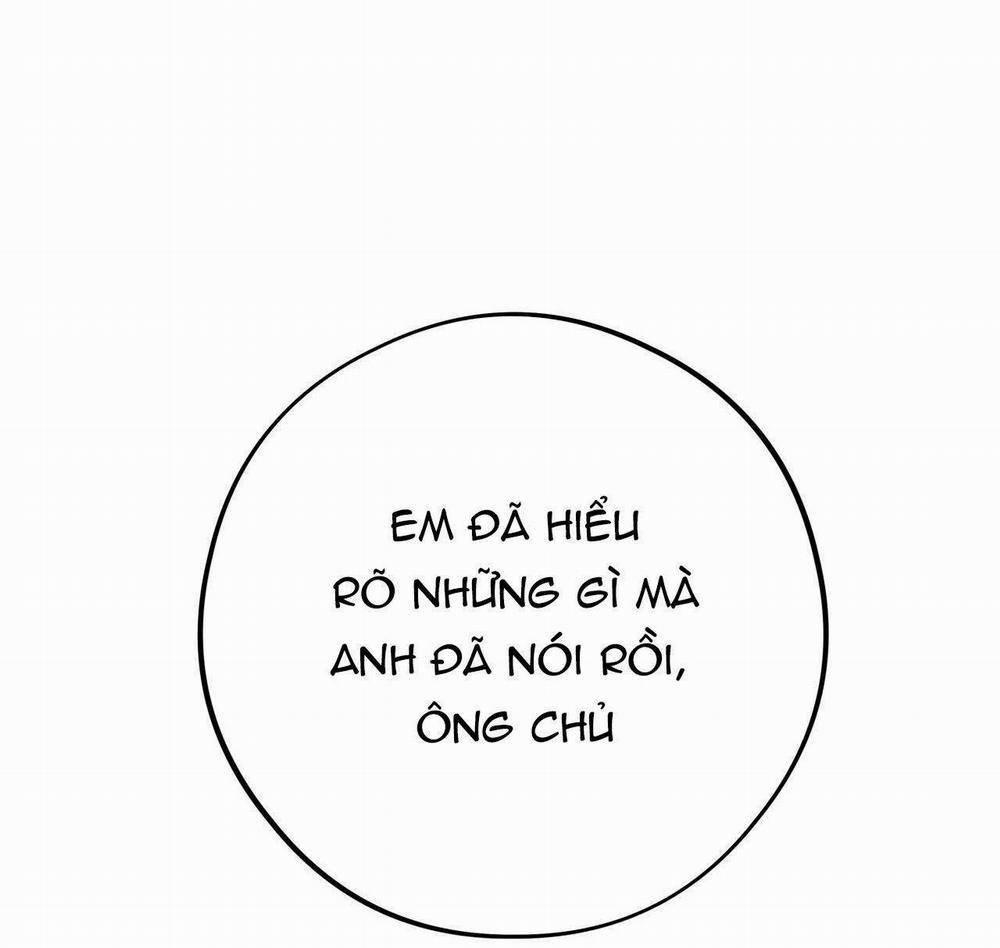 Honey Bear 33 trang 77