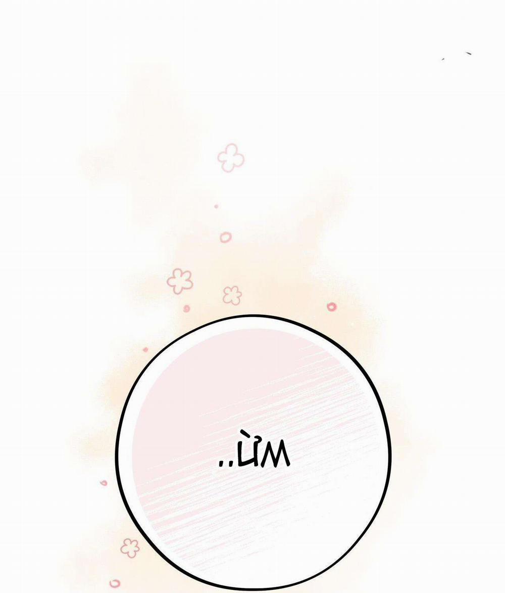 Honey Bear 33 trang 83