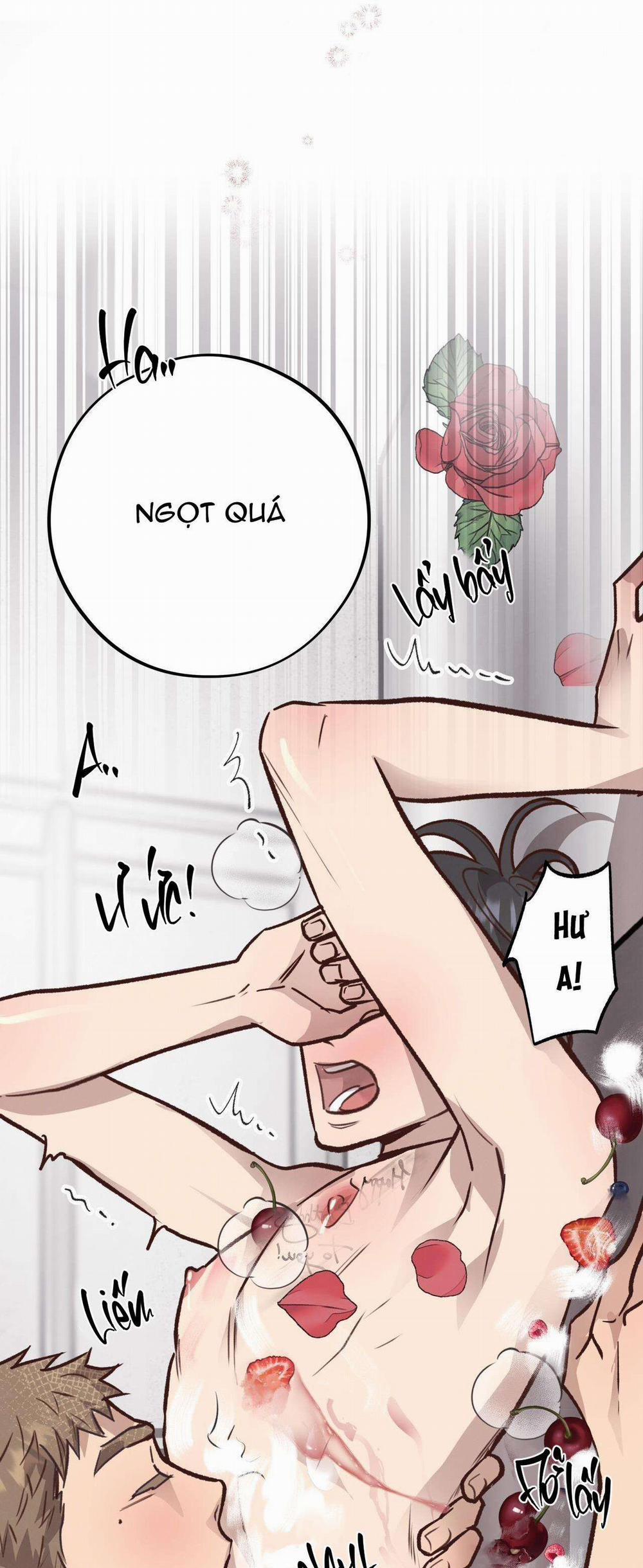 Honey Bear 33 trang 91