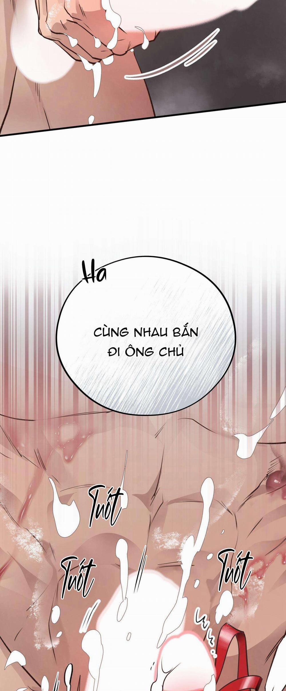 Honey Bear 34 trang 23