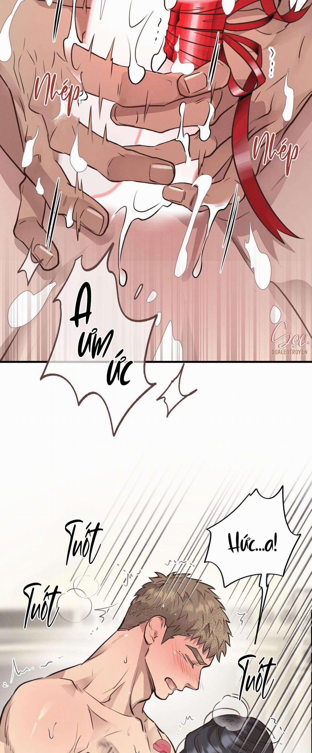 Honey Bear 34 trang 24