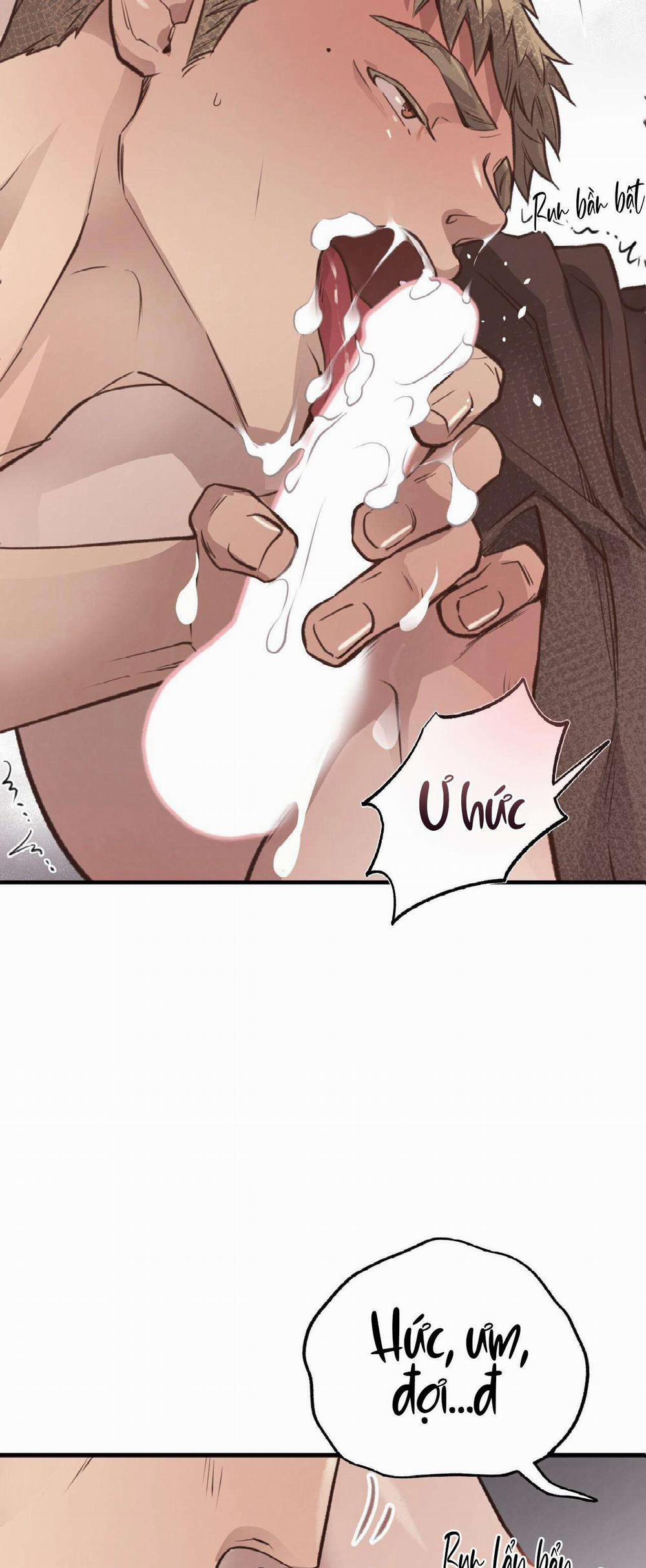 Honey Bear 34 trang 5