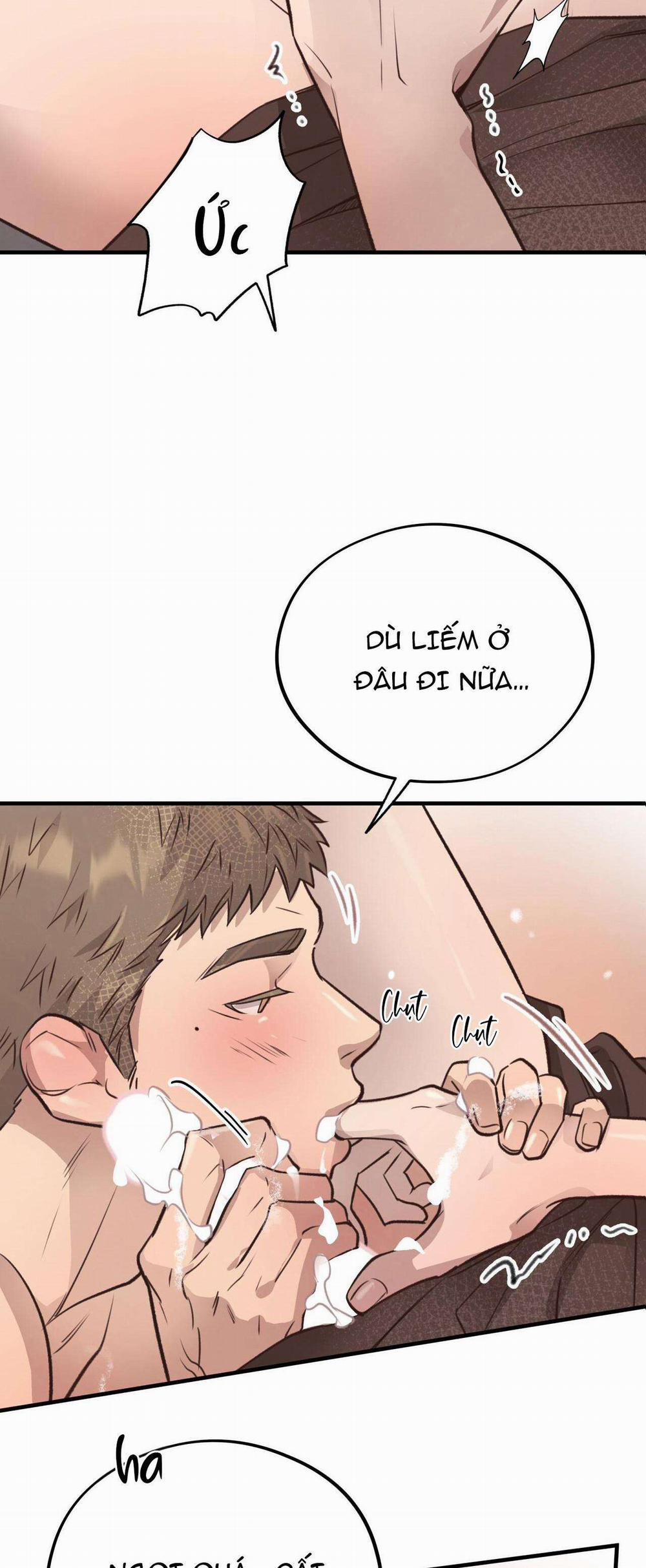 Honey Bear 34 trang 7