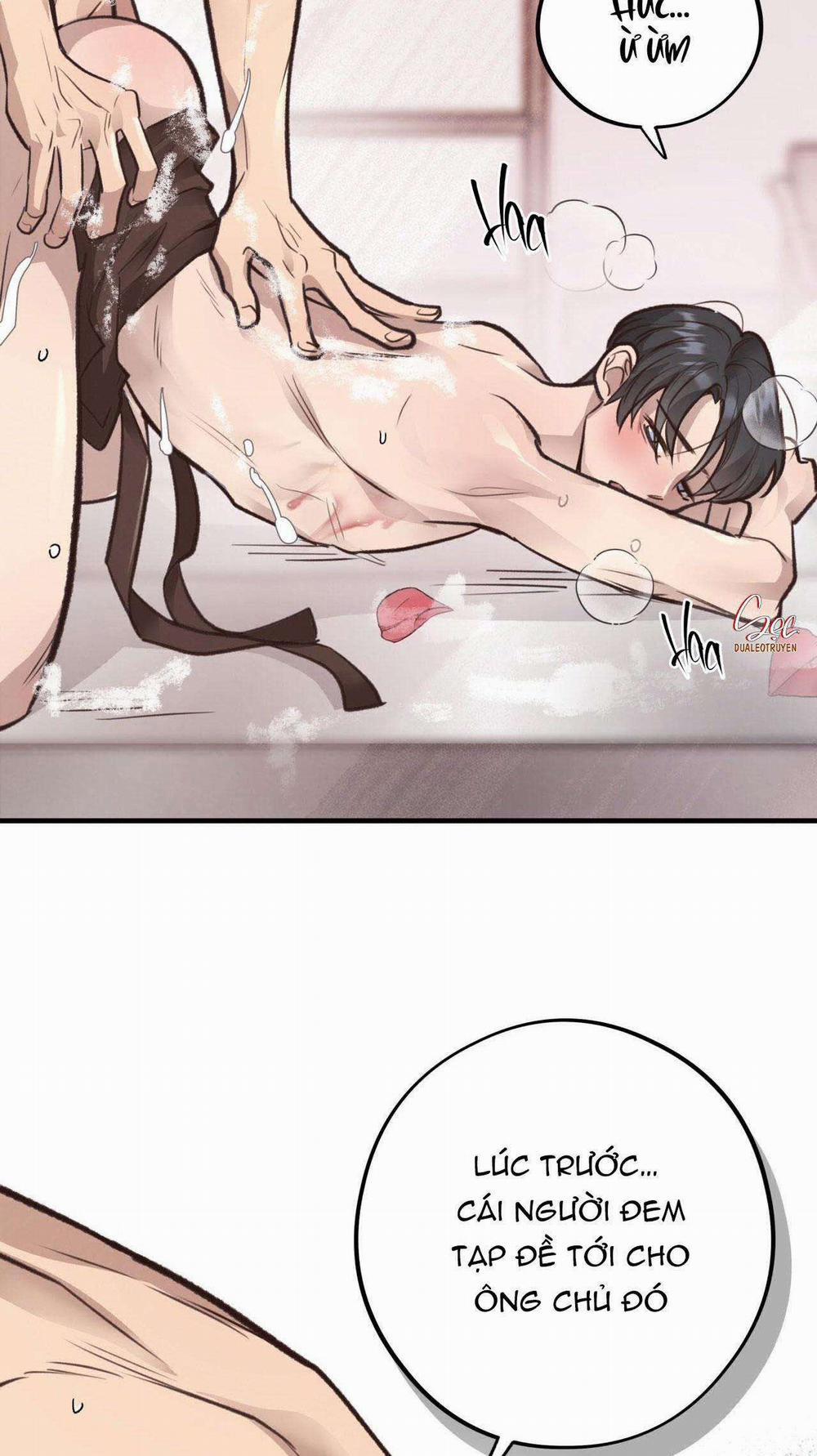 Honey Bear 35 trang 5