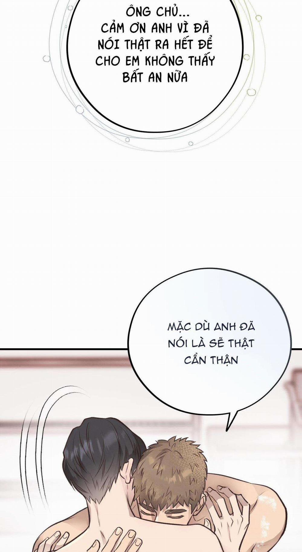 Honey Bear 35 trang 71