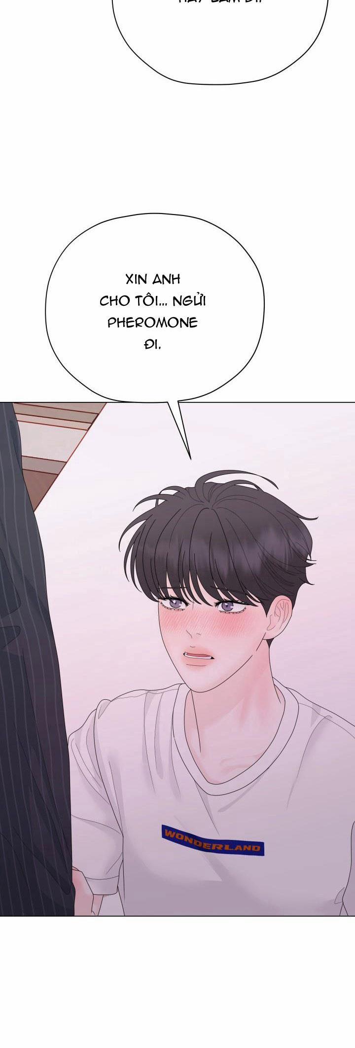 Honey Bear 36 trang 16