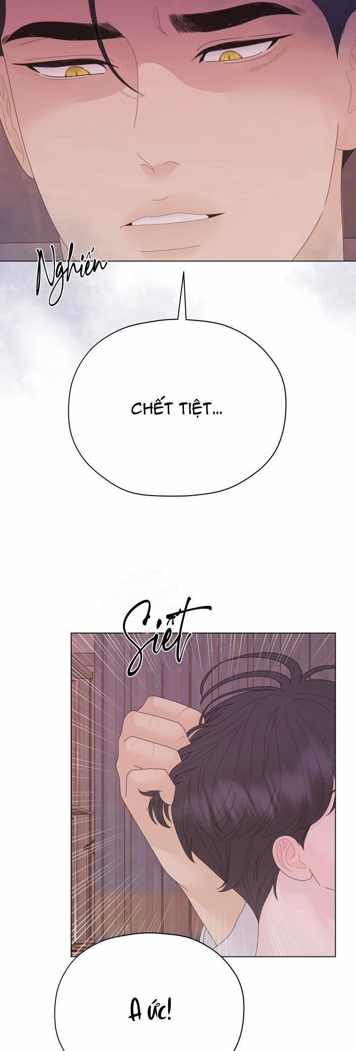 Honey Bear 36 trang 45