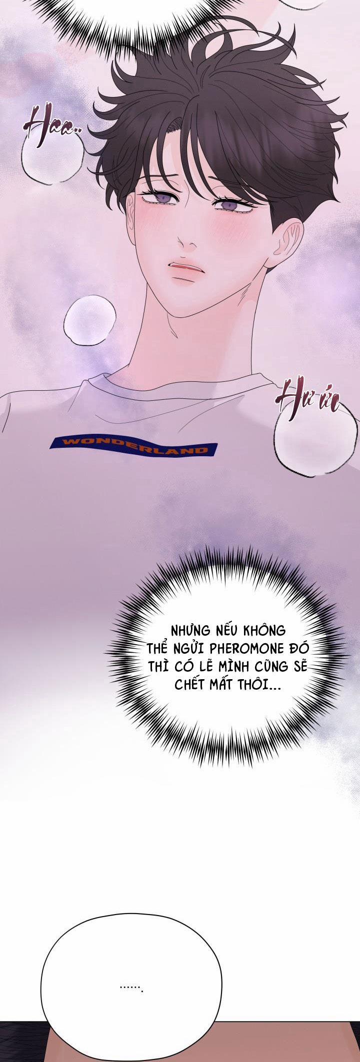 Honey Bear 36 trang 6