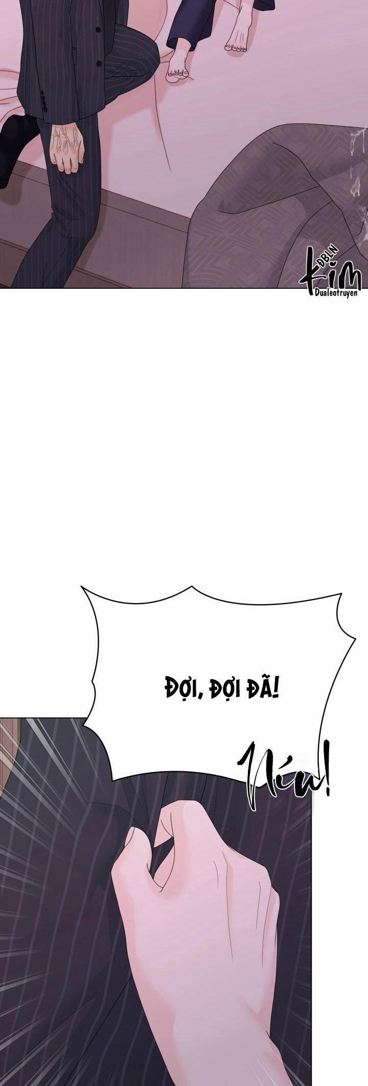 Honey Bear 36 trang 8