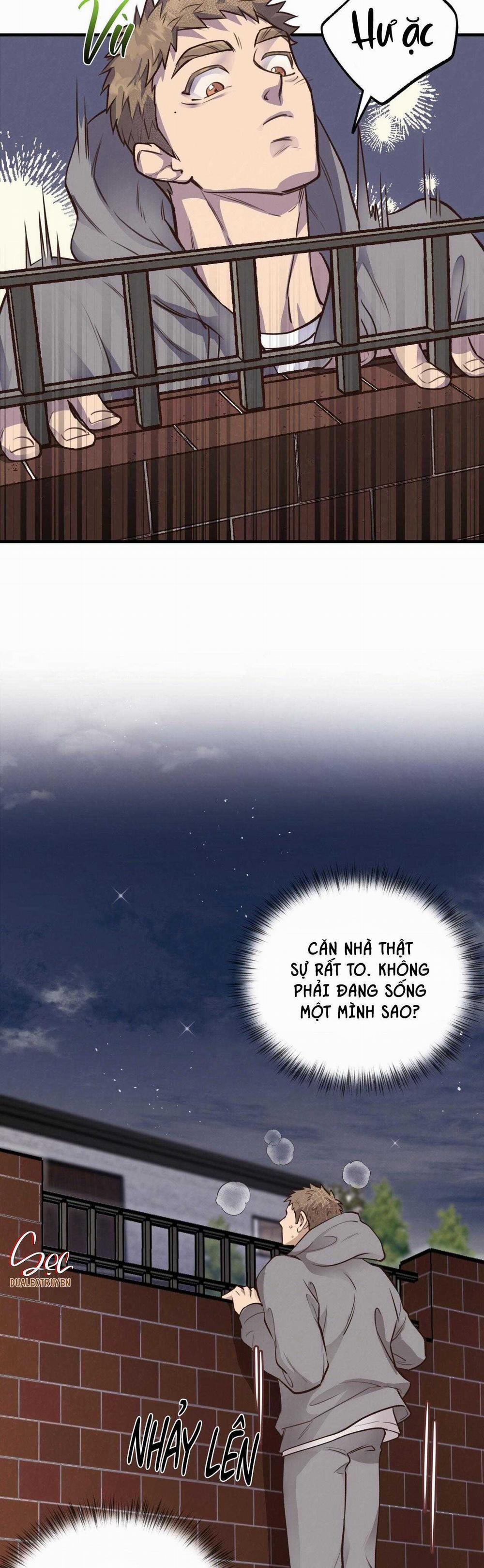 Honey Bear 37 trang 22