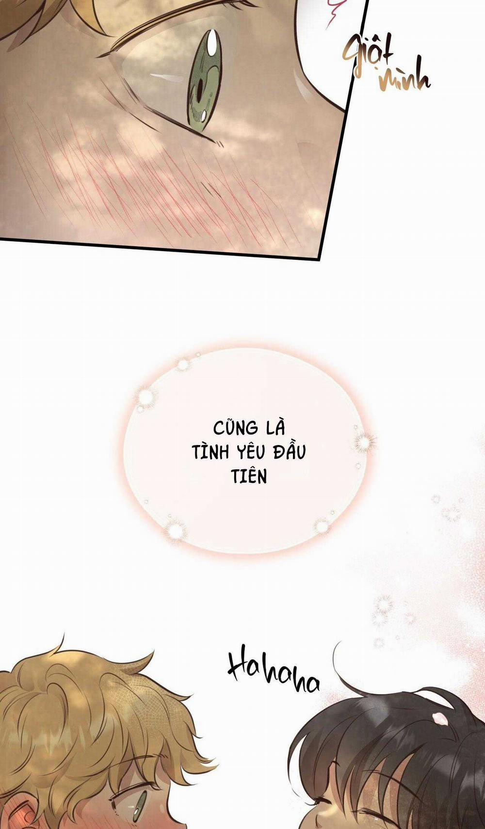 Honey Bear 38 trang 24