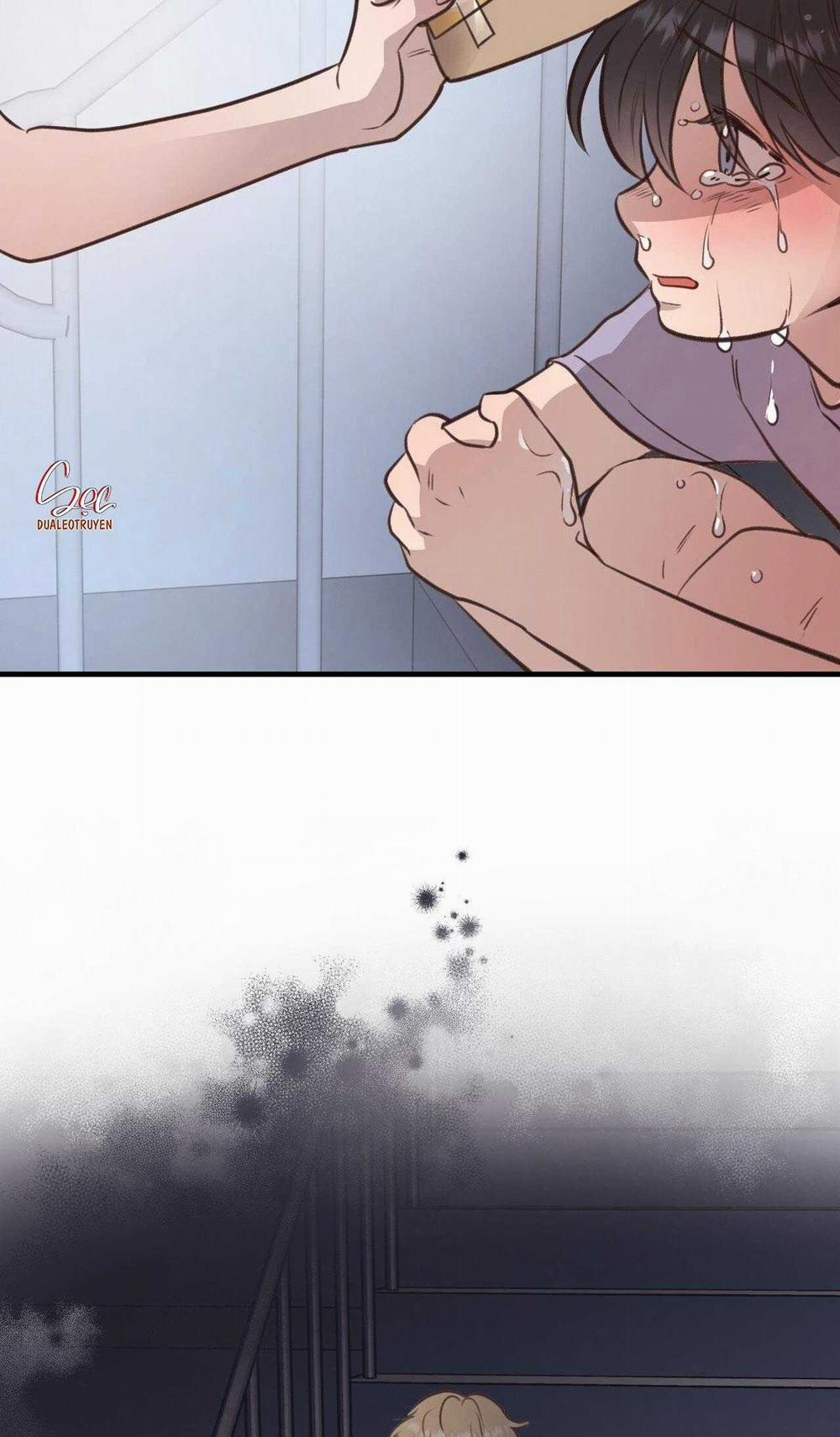 Honey Bear 38 trang 32