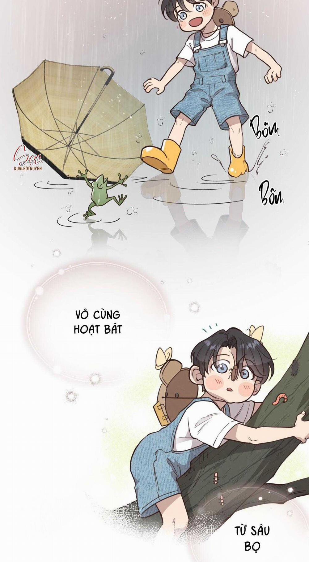 Honey Bear 38 trang 6