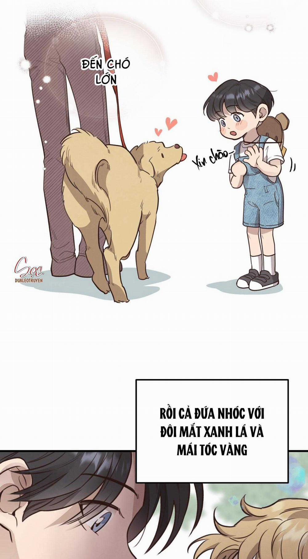 Honey Bear 38 trang 7