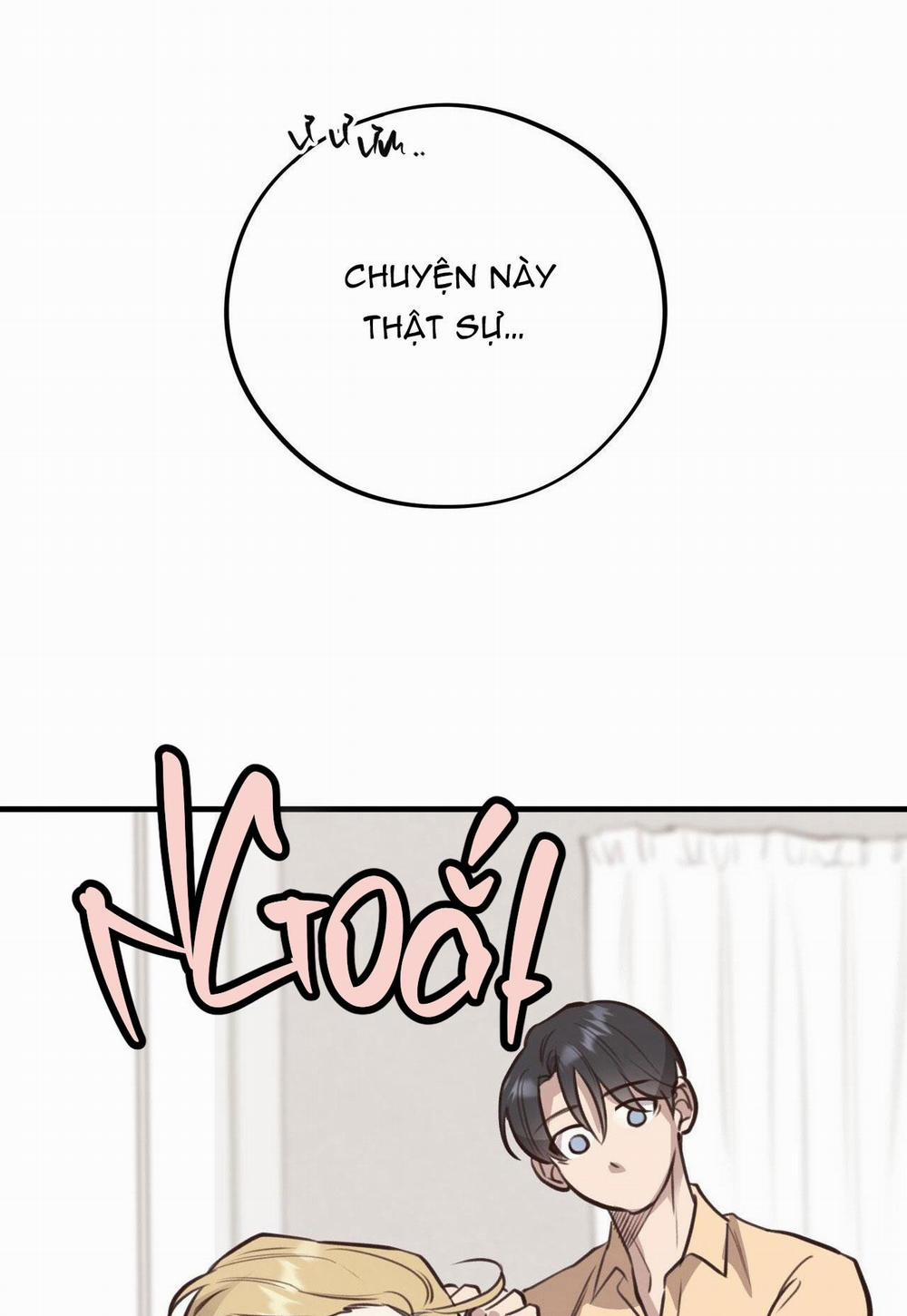 Honey Bear 39 trang 34