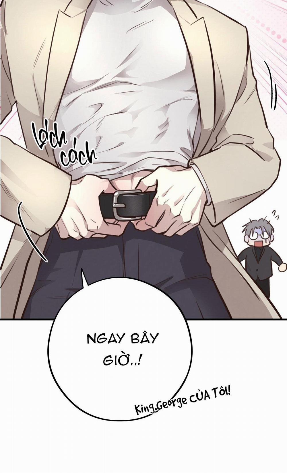 Honey Bear 39 trang 88