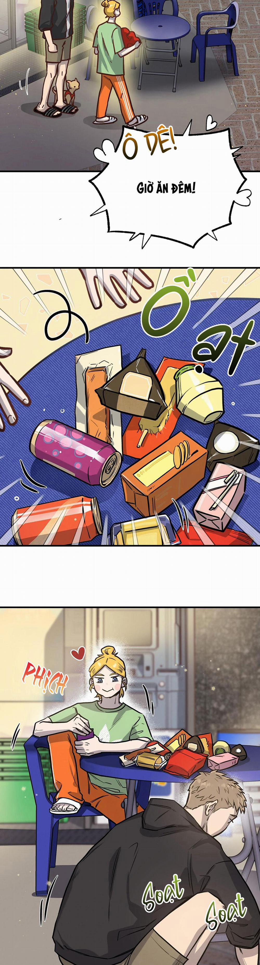 Honey Bear 4 trang 1