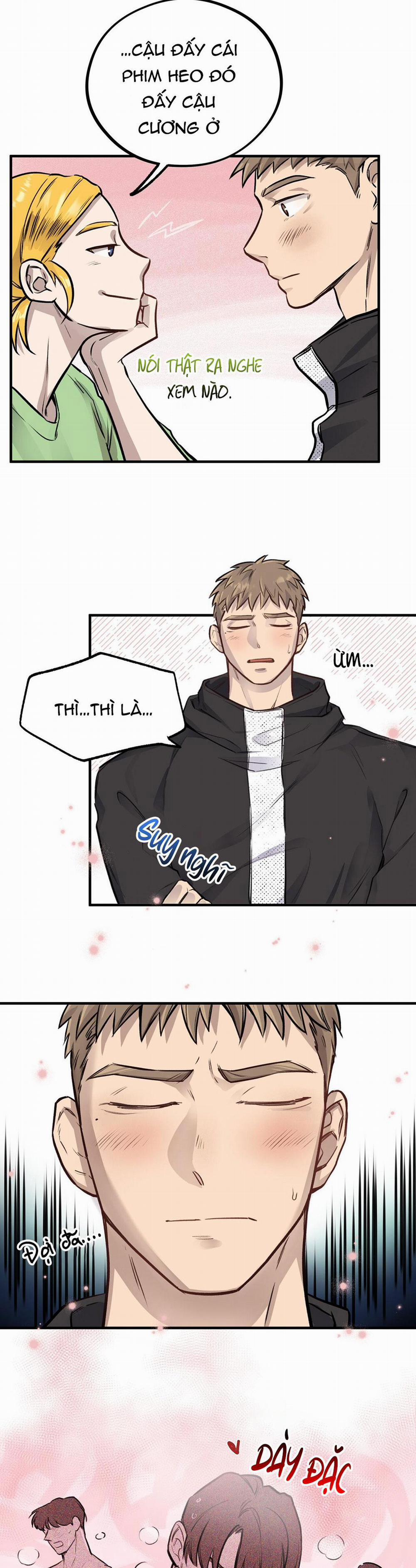 Honey Bear 4 trang 11