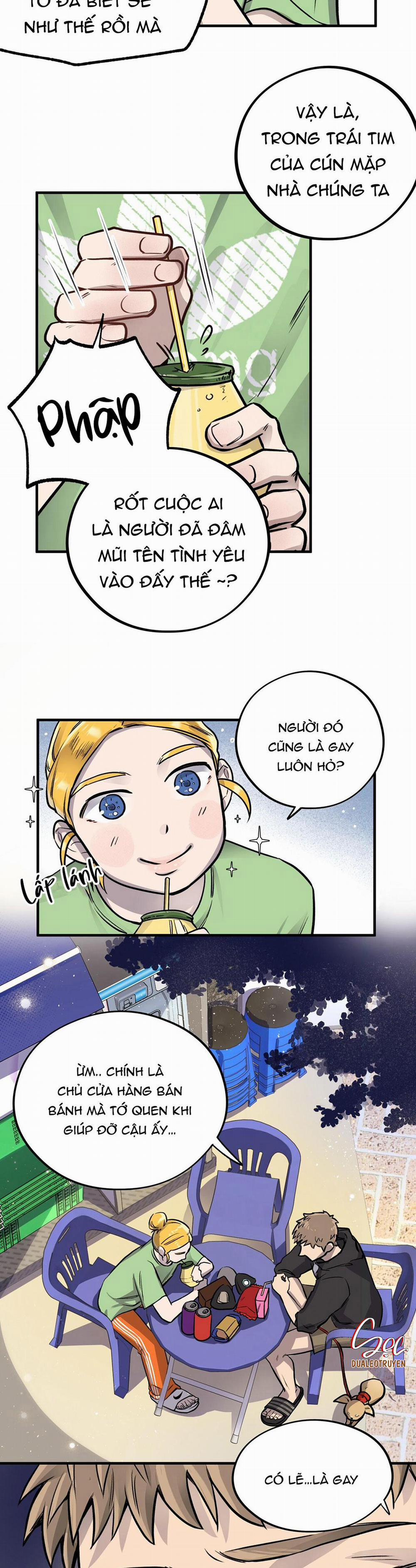 Honey Bear 4 trang 13