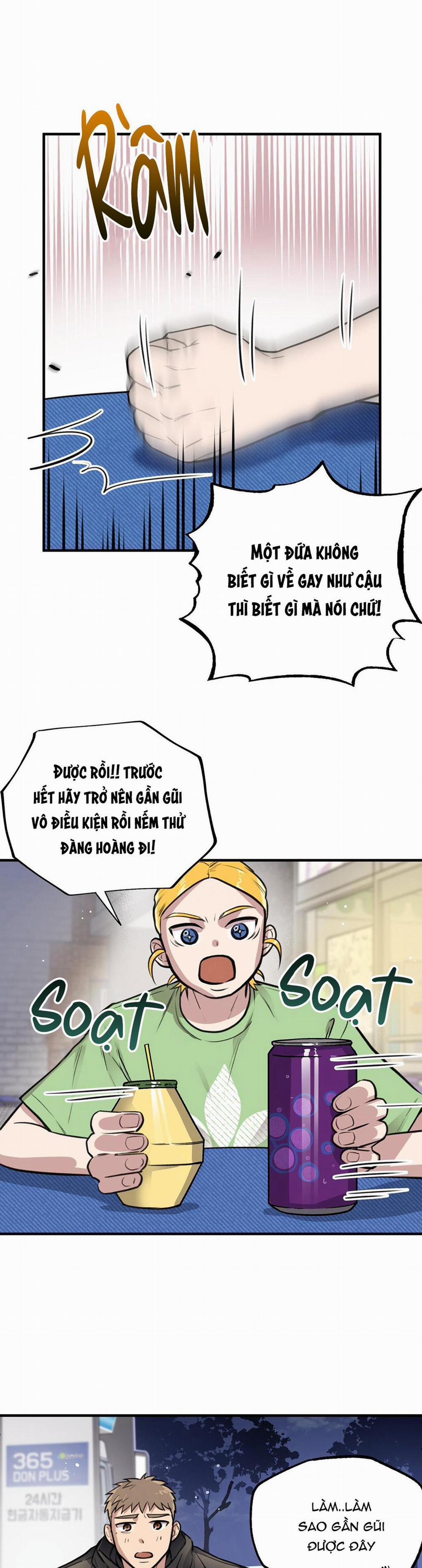 Honey Bear 4 trang 16