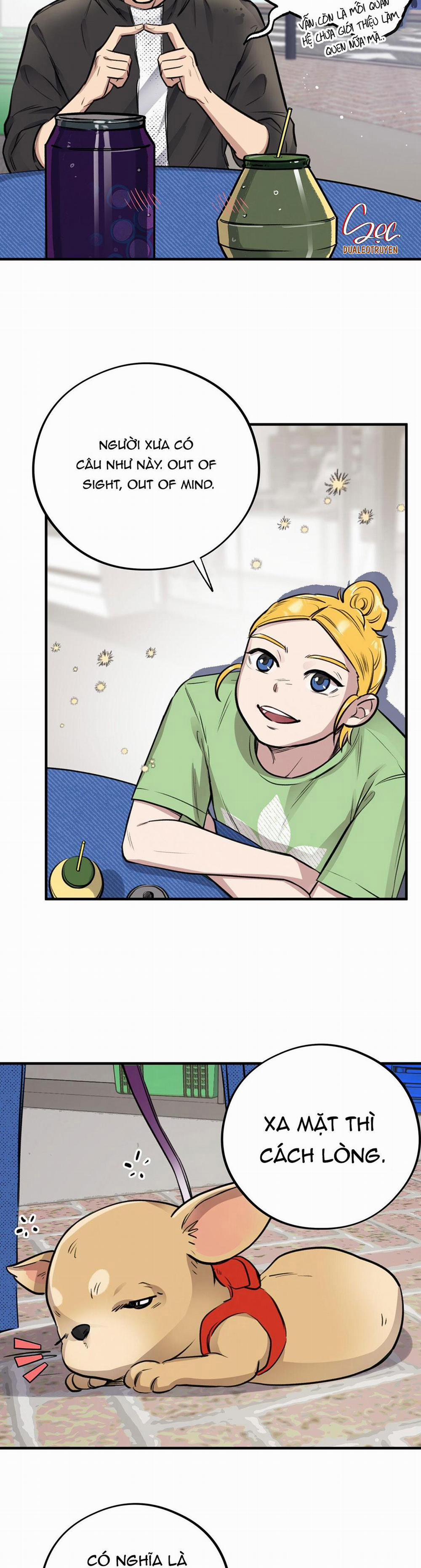 Honey Bear 4 trang 17