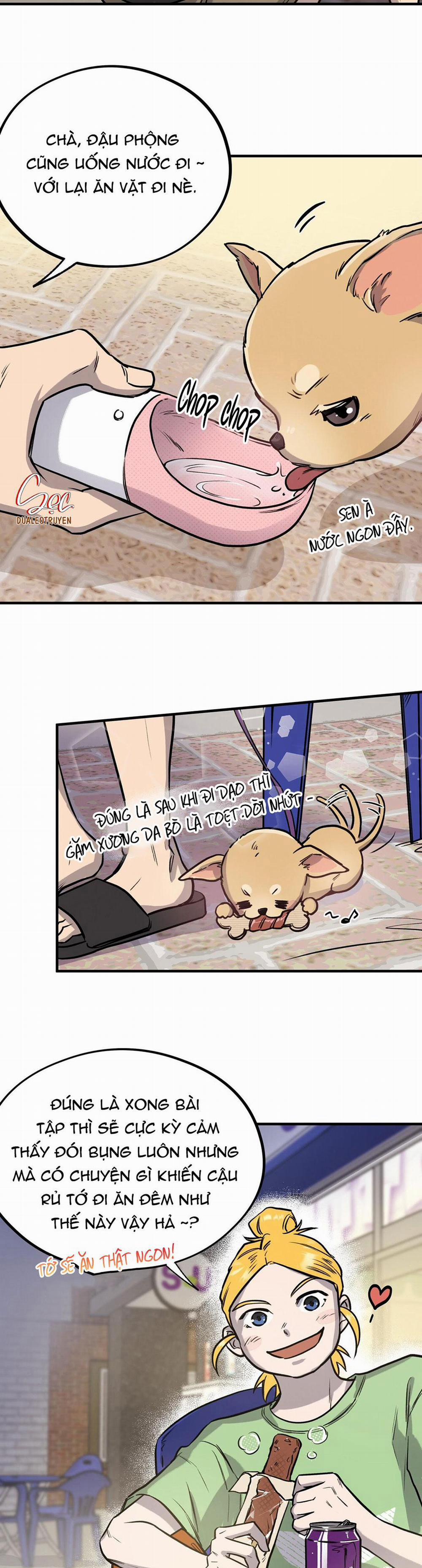 Honey Bear 4 trang 2